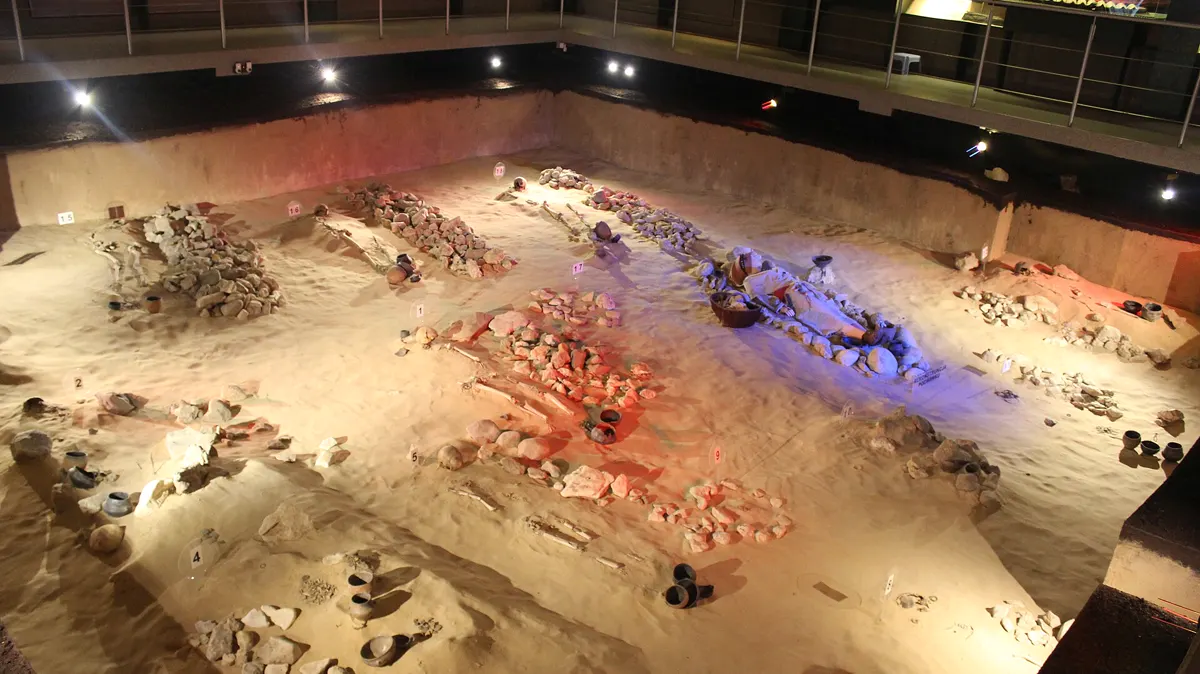 Archaeological Reserve (Rezerwat Archeologiczny)