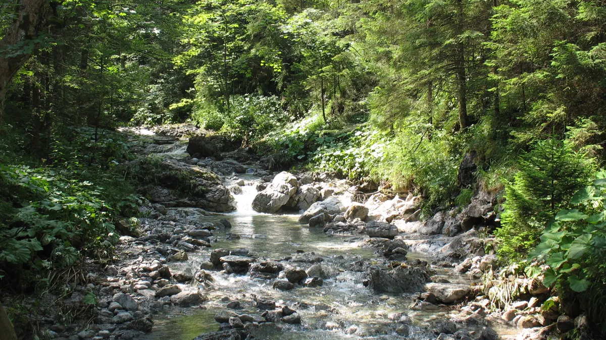 Bialego Valley (Dolina Bialego)