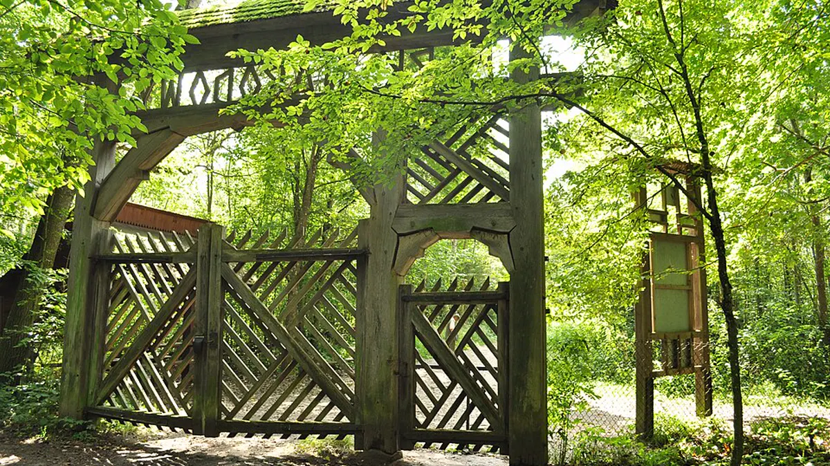 Bialowieza National Park