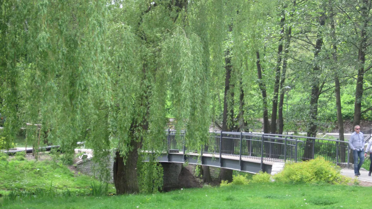 Castle Park (Podzamcze Park)