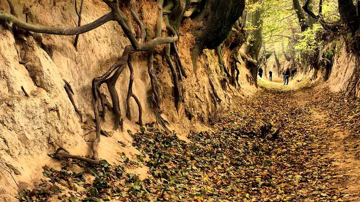 Korzeniowy Dol Gorge
