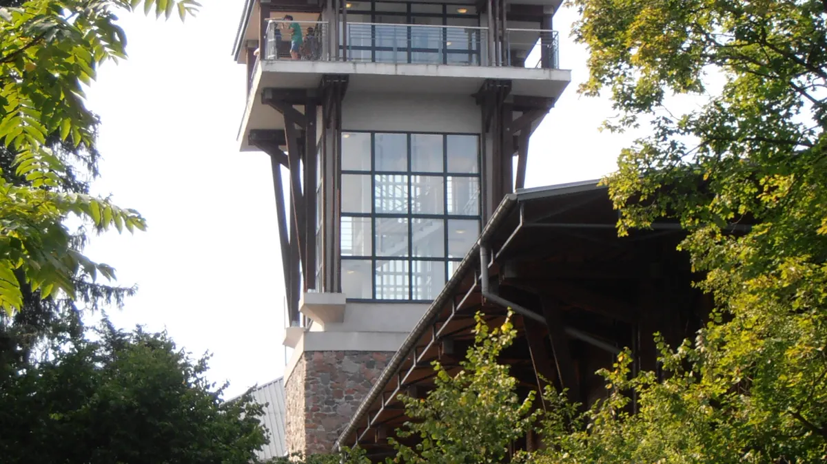 Nature and Forest Museum (Muzeum Przyrodniczo-Leśne)