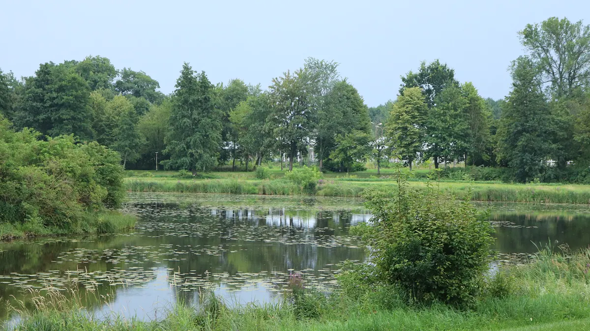 Palace Park (Park Pałacowy)