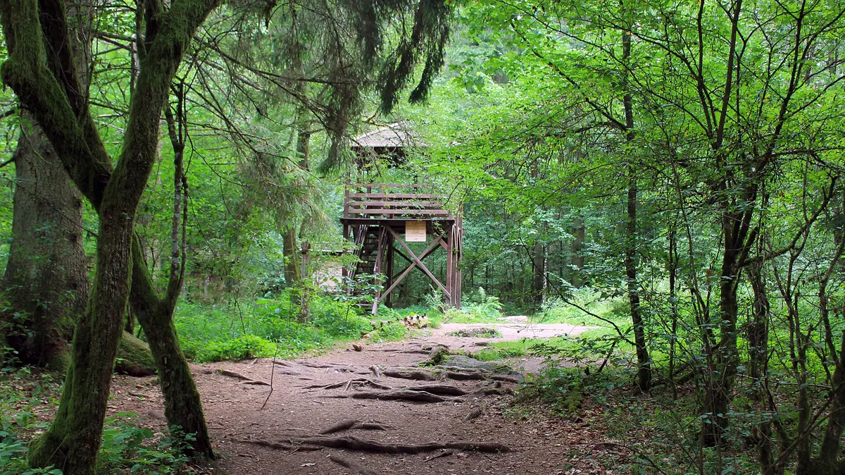 Place of Power (Miejsce Mocy)
