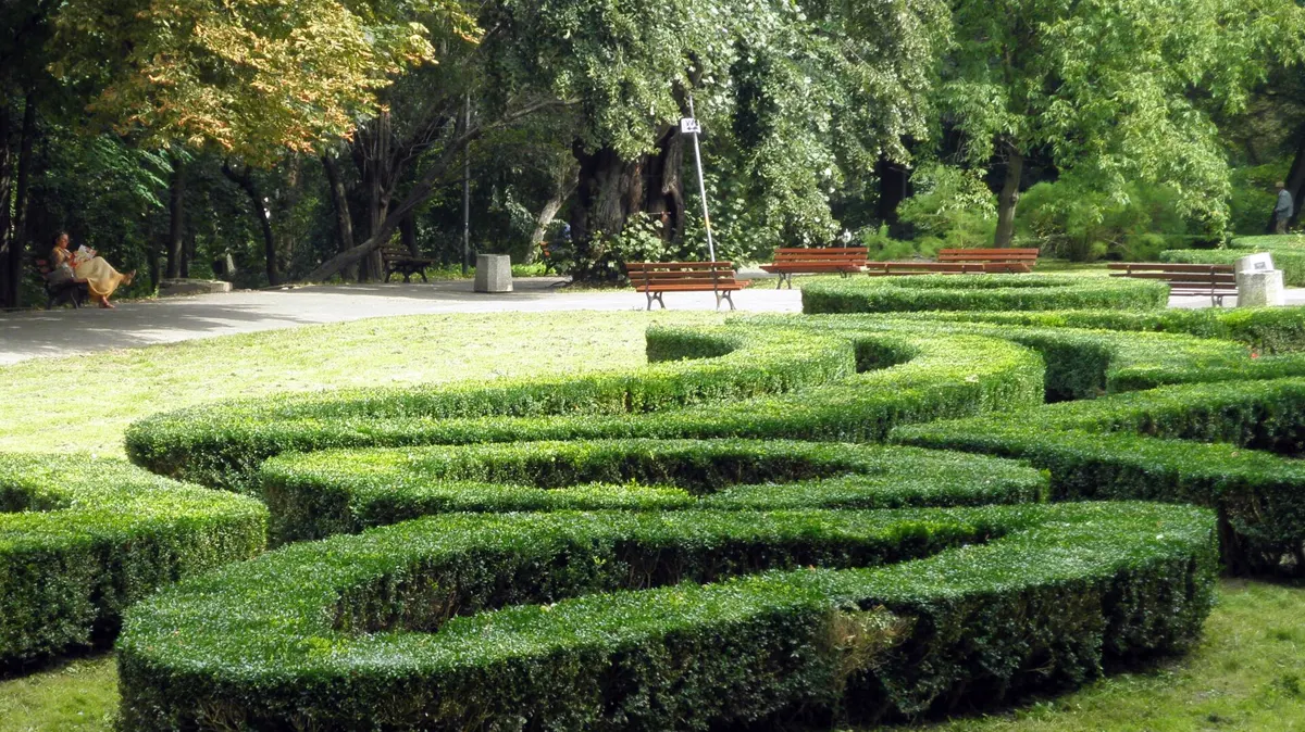 Saxon Garden