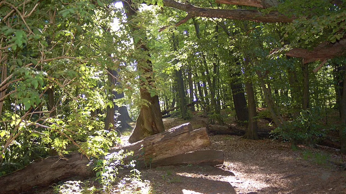 Tricity Landscape Park