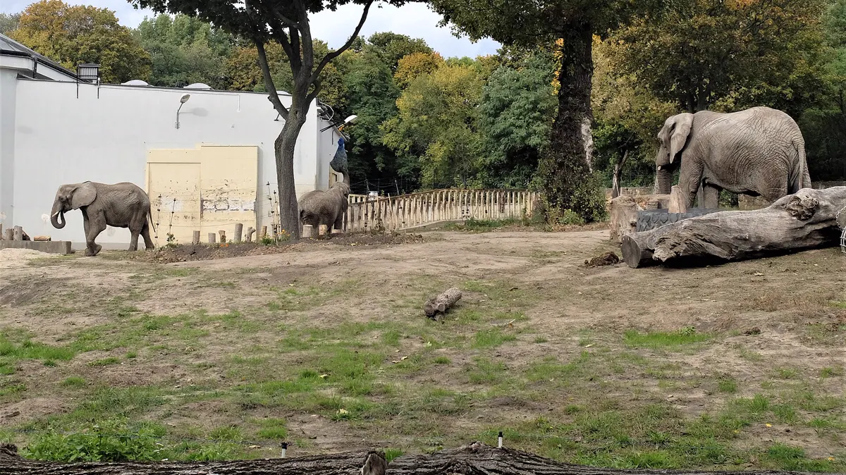 Warsaw Zoo