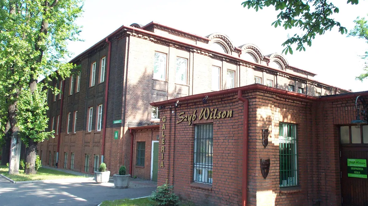 Wilson Shaft Gallery (Galeria Szyb Wilson)