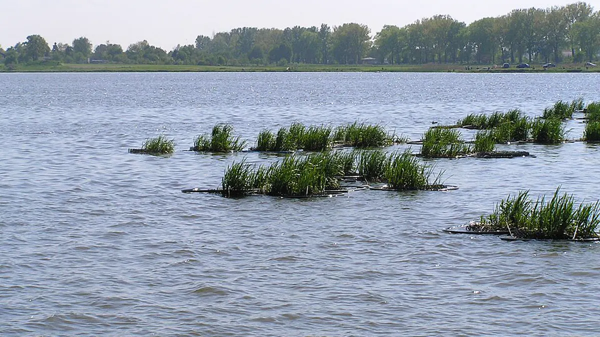 Zemborzycki Lake